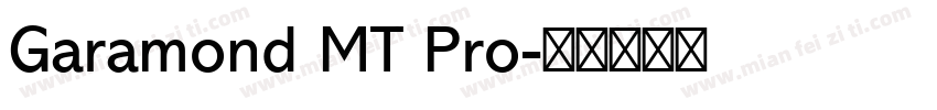 Garamond MT Pro字体转换